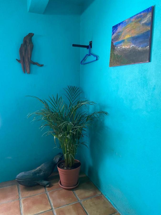 Casa Xochitl Bed and Breakfast El Centenario Exteriör bild